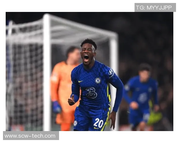 天命游戏中的足球明星角色盘点及其特点分析