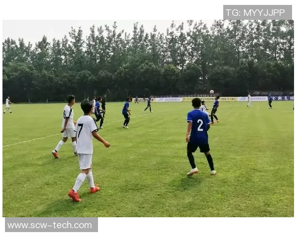 2017全国青少年足球超级联赛精彩回顾与未来发展展望 2017全国青少年足球超级联赛精彩回顾与未来发展展望